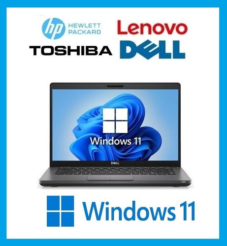 Fast cheap laptop windows - fast,